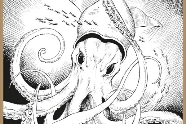 Kraken зеркало krakens13 at